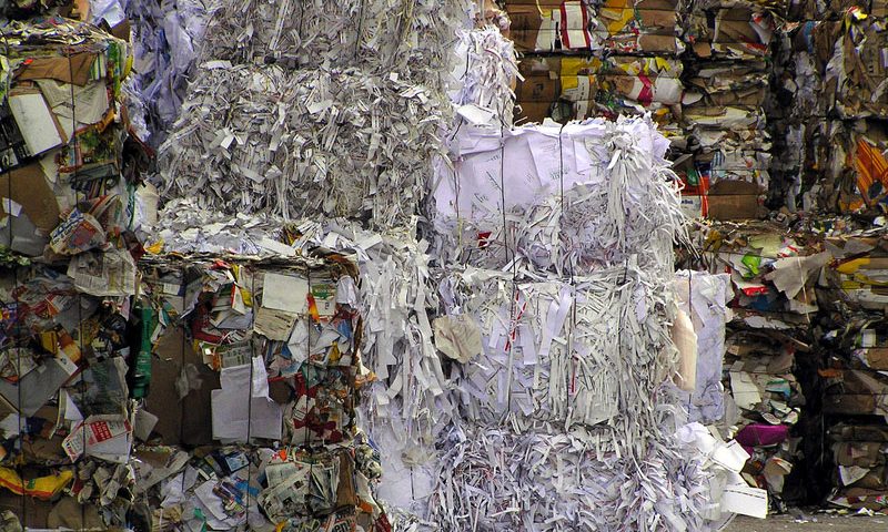 Papierkonsum – der sinnvolle Umgang mit der weißen Ressource